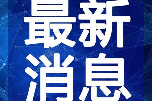 环球时代爆料视频最新一期,揭秘本期热点事件背后的真相